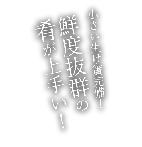 小さい生け簀完備！